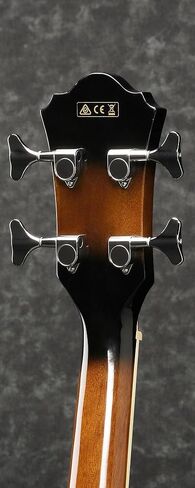 Ibanez AEB10E Acoustic-Electric Bass Guitar - Dark Violin Sunburst Bundle with Gig Bag, Tuner, Strap, Instrument Cable, Austin Bazaar Instructional DVD, and Polishing Cloth in Kuwait