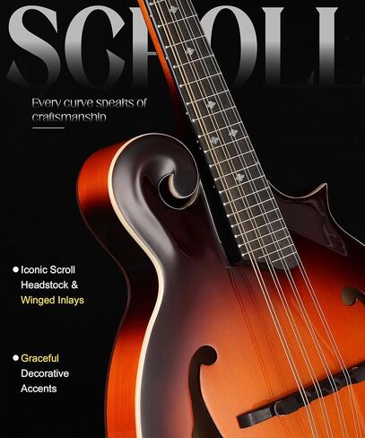 AKLOT F-Style Acoustic Mandolin Instrument: Hand-Carved Classic Scroll Headstock, Spruce Top with Malayan Kauri Back & Sides, Natural Bone Nut, Deluxe Mandolin Bundle with Padded Bag, Tuner (RV-FSG) in Kuwait