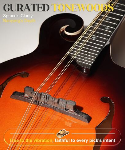 AKLOT F-Style Acoustic Mandolin Instrument: Hand-Carved Classic Scroll Headstock, Spruce Top with Malayan Kauri Back & Sides, Natural Bone Nut, Deluxe Mandolin Bundle with Padded Bag, Tuner (RV-FSG) in Kuwait