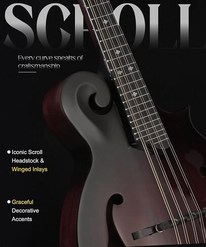 AKLOT F-Style Acoustic Mandolin Instrument: Hand-Carved Classic Scroll Headstock, Mahogany Body and Natural Bone Nut, Deluxe Mandolin Bundle with Padded Bag, Tuner, Capo and Picks (RV-FMT) in Kuwait