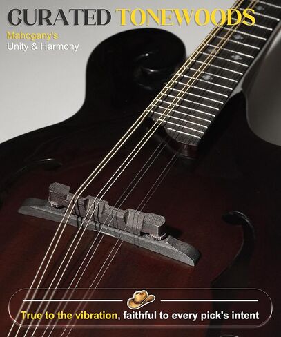 AKLOT F-Style Acoustic Mandolin Instrument: Hand-Carved Classic Scroll Headstock, Mahogany Body and Natural Bone Nut, Deluxe Mandolin Bundle with Padded Bag, Tuner, Capo and Picks (RV-FMT) in Kuwait