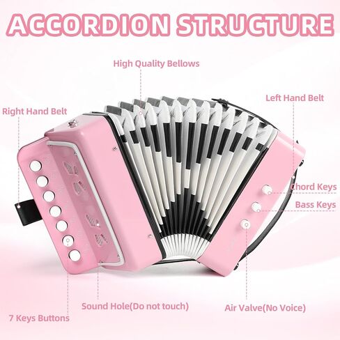 Horse Kids Accordion, 10 Keys Control Button Accordion Musical Instruments for Kids Children Beginners Lightweight and Environmentally-friendly in Saudi Arabia
