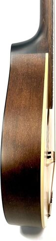 The Dannan Celtic Irish Bouzouki with Bag in Saudi Arabia