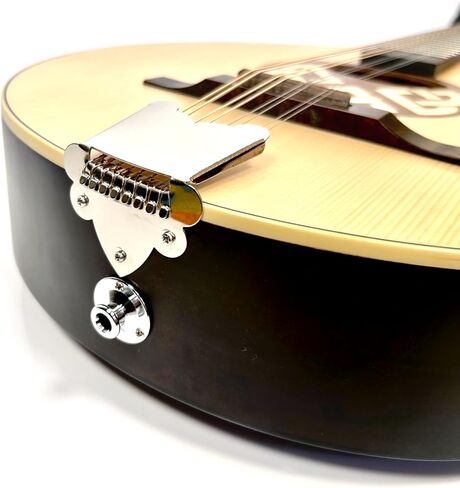 The Dannan Celtic Electro Traditional Irish Bouzouki with Pick Up in Saudi Arabia