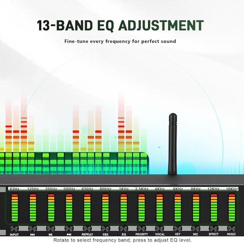 Digital Karaoke Mixer Audio Processor System with DSP, Professional Pre-Stage Effector Vocal Effects Preamp KTV Equalizer, Anti-Howling Microphone Sound Processor w/USB Bluetooth Optical Audio Input in Kuwait