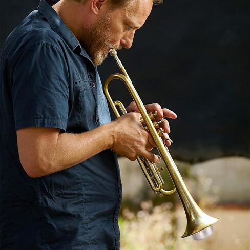 Trumpet Mute，Lightweight Aluminum Practice Trumpet Mute Silencer for Jazz Classic, Excellent for Practice or Performance，Silver in Kuwait