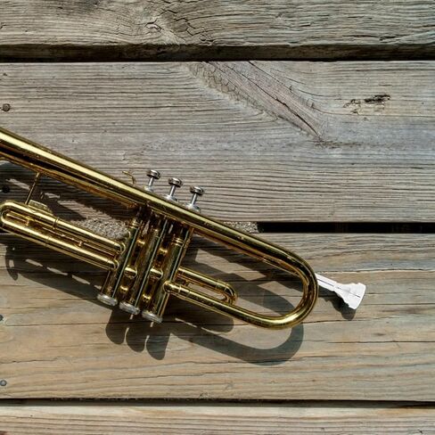 Milisten Silver-plated Brass Cornet Mouthpiece for Cornet, Short Model 4b Size, Metal Student Instrument Accessory Suitable for Beginner and Labor-saving Use in Kuwait