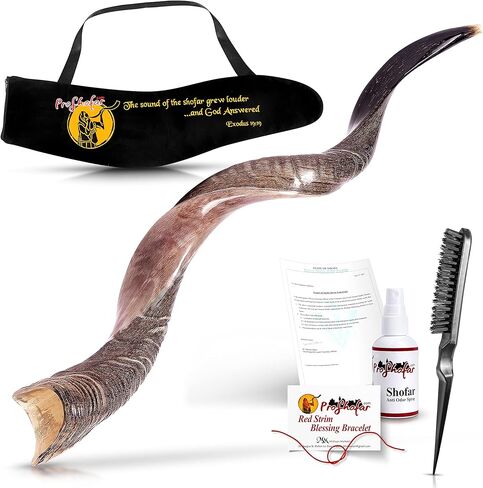 Half Polished Kosher Kudu Shofar Set from Israel, Plus Bag, Officially Signed Certificate Kosher Shofar Horn Made in Israel in Kuwait