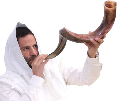 Kosher Kudu Shofar Horn from Israel 24"-28" – Traditional Half Polished Kudu Yemeni Shofar - Holy Voice Easy Blowing Ancient Jewish Musical Instrument. in Kuwait