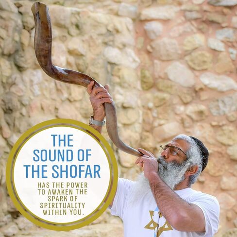 Kosher Kudu Shofar Horn from Israel 24"-28" – Traditional Half Polished Kudu Yemeni Shofar - Holy Voice Easy Blowing Ancient Jewish Musical Instrument. in Kuwait