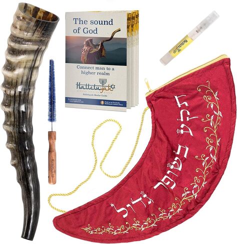 HalleluYAH Blesbok Horn Shofar 8 "-10" مجموعة كاملة | مصنوع يدويًا في إسرائيل in Kuwait