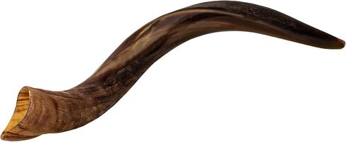 Shofars Of Shalom Kudu Shofar Horn, Original Beautiful Half Polished Half Natural Finish, Easy Blowing with deep, rich sound | Includes beautifully embroidered Shofar Bag | 23"-27" in Saudi Arabia