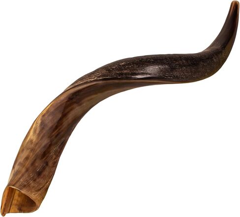 Shofars Of Shalom Kudu Shofar Horn, Original Beautiful Half Polished Half Natural Finish, Easy Blowing with deep, rich sound | Includes beautifully embroidered Shofar Bag | 23"-27" in Saudi Arabia