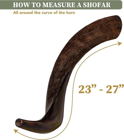 Shofars Of Shalom Kudu Shofar Horn, Original Beautiful Half Polished Half Natural Finish, Easy Blowing with deep, rich sound | Includes beautifully embroidered Shofar Bag | 23"-27" in Saudi Arabia