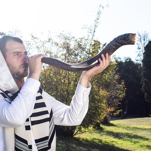 Shofars Of Shalom Kudu Shofar Horn, Original Beautiful Half Polished Half Natural Finish, Easy Blowing with deep, rich sound | Includes beautifully embroidered Shofar Bag | 23"-27" in Saudi Arabia
