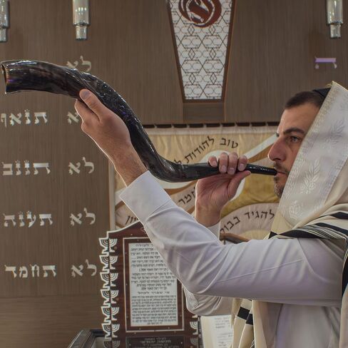 Shofars Of Shalom Kudu Shofar Horn, Original Beautiful Half Polished Half Natural Finish, Easy Blowing with deep, rich sound | Includes beautifully embroidered Shofar Bag | 23"-27" in Saudi Arabia