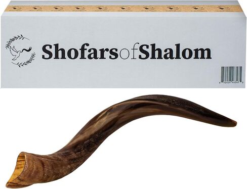 Shofars Of Shalom Kudu Shofar Horn, Original Beautiful Half Polished Half Natural Finish, Easy Blowing with deep, rich sound | Includes beautifully embroidered Shofar Bag | 23"-27" in Saudi Arabia