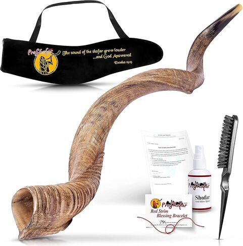 Original Kosher Natural-Polished Kudu Shofar | Shofar horn from israel in Kuwait