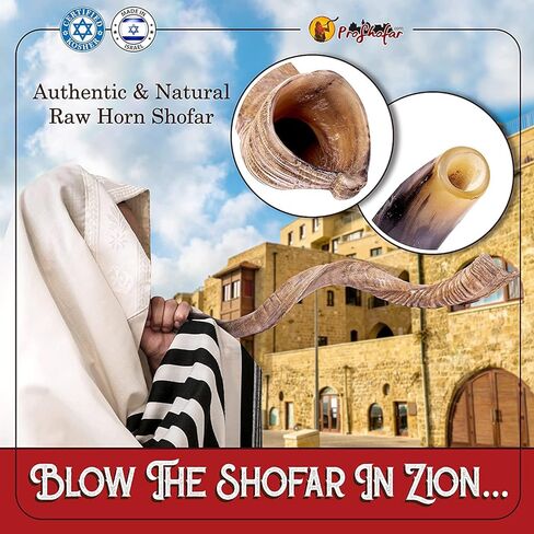 Original Kosher Natural-Polished Kudu Shofar | Shofar horn from israel in Kuwait