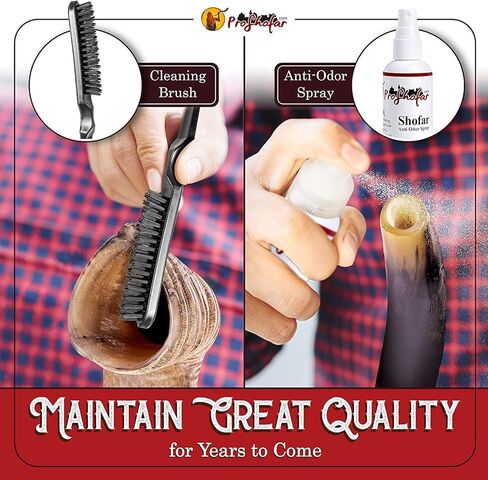 Original Kosher Natural-Polished Kudu Shofar | Shofar horn from israel in Kuwait