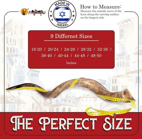 Original Kosher Natural-Polished Kudu Shofar | Shofar horn from israel in Kuwait