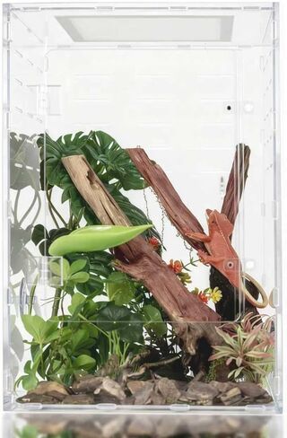10 Gallon Reptile Tank - 12x12x18 Crested Gecko Tank Enclosure - Acrylic Habitat with Ventilation for Lizard, Spiders & Snakes in Kuwait