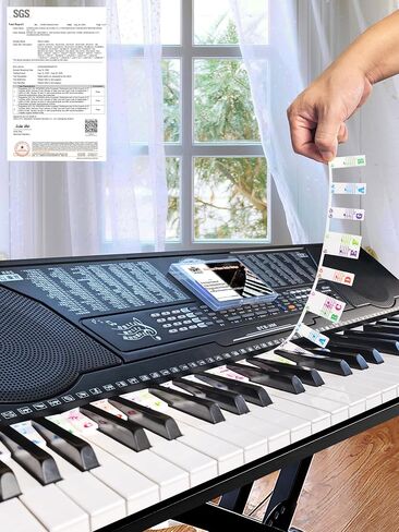 ملصقات ملاحظات البيانو قابلة للإزالة لـ 61-54-49-37 لوحة مفاتيح قياسية كاملة الحجم، ملصقات مفاتيح البيانو، شرائط سيليكون قابلة لإعادة الاستخدام للأطفال المبتدئين (لوحات الموظفين ملونة) in Kuwait