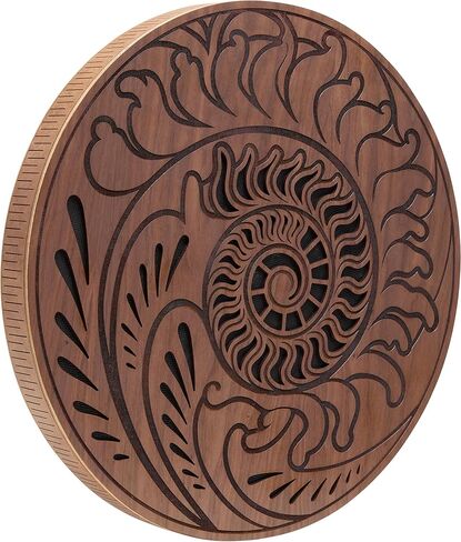 Meinl Sonic Energy Rain Disc, 15" — Water and Ocean Sound Effects for Meditation, Yoga, Sound Baths, Music in Saudi Arabia