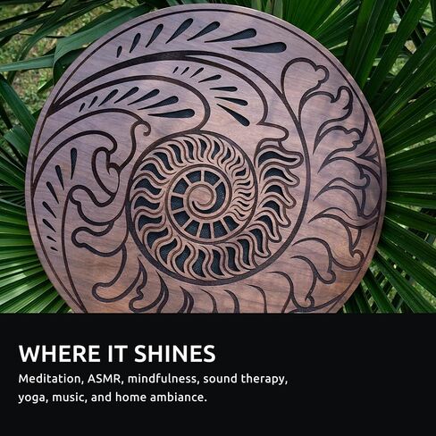 Meinl Sonic Energy Rain Disc, 15" — Water and Ocean Sound Effects for Meditation, Yoga, Sound Baths, Music in Saudi Arabia