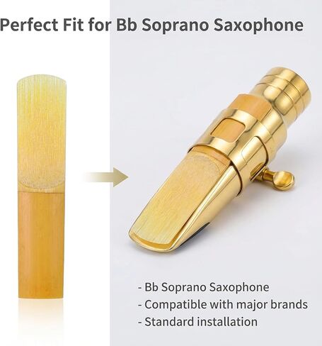 10 Pack Soprano Sax Reeds Soprano Sax Traditional Reeds Tip for Easy of Play Strength 2.5 Sopranoes Saxes Reed with Plastic Box for Daily Use Saxophone Beginner and Player in Saudi Arabia