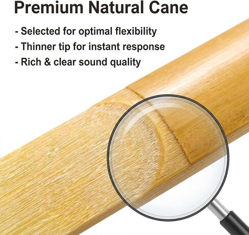 10 Pack Soprano Sax Reeds Soprano Sax Traditional Reeds Tip for Easy of Play Strength 2.5 Sopranoes Saxes Reed with Plastic Box for Daily Use Saxophone Beginner and Player in Saudi Arabia