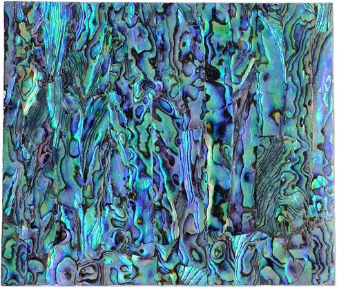 نيوزيلندا أذن البحر الطبيعية قذيفة مطعمة القشرة الزرقاء، وتستخدم للديكور ترصيع الآلات الموسيقية وتغطية الحرف اليدوية DIY. الجزء الخلفي من القشرة مزود بمادة لاصقة سوداء على الوجهين 3M in Kuwait