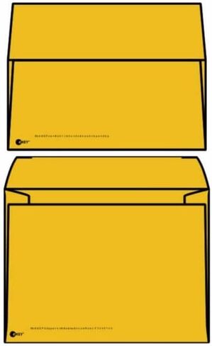 eKEY Multimedia Mailer Envelopes, 6" x 8" Roptex eKEY Multimedia Mailer, Outer Envelope with Open Side, CD/DVD Insert (Box of 500) in Saudi Arabia