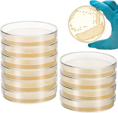 Amosfun Prepoured Agar Plates Petri Dishes 2.7 Inch Nutrient Agar Plates Science Experiment Supplies for Microbiology Culture Education 10 Pack in Saudi Arabia
