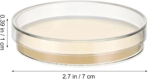 Amosfun Prepoured Agar Plates Petri Dishes 2.7 Inch Nutrient Agar Plates Science Experiment Supplies for Microbiology Culture Education 10 Pack in Saudi Arabia