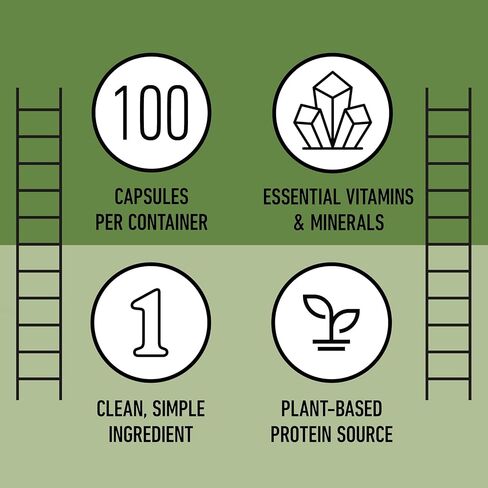Complete Natural Products Organic Chlorella Capsules, 500mg, 100ct, Pure Green Algae Superfood, Detox & Immune Support, Vitamin B12 & Chlorophyll Rich, Plant-Based, Vegan, Non-GMO in Saudi Arabia