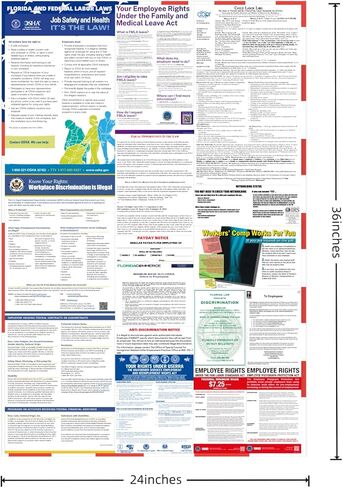 2026 Florida State and Federal Labor Law Posters - English Version - OSHA Complete Workplace Compliance - UV Waterproof Laminated 24" x 36" in Kuwait