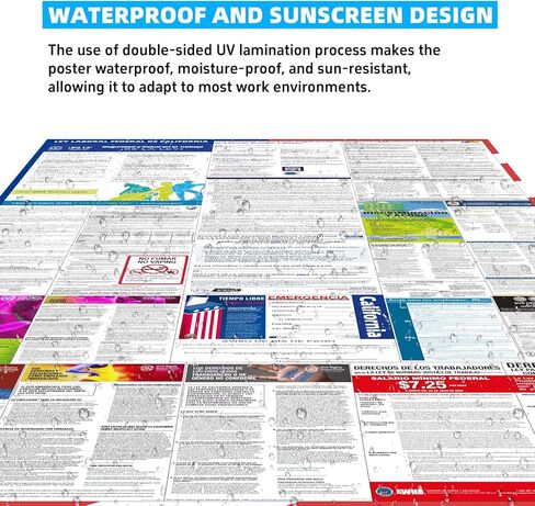 2026 Florida State and Federal Labor Law Posters - English Version - OSHA Complete Workplace Compliance - UV Waterproof Laminated 24" x 36" in Kuwait