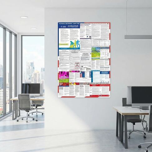 2026 Florida State and Federal Labor Law Posters - English Version - OSHA Complete Workplace Compliance - UV Waterproof Laminated 24" x 36" in Kuwait