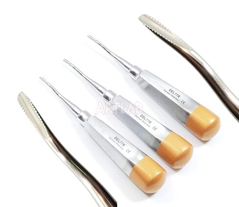 3 EA German Premium Root Dental Tooth Extracting Elevator # 77R-Dental Elevators-Dental Instruments in Saudi Arabia