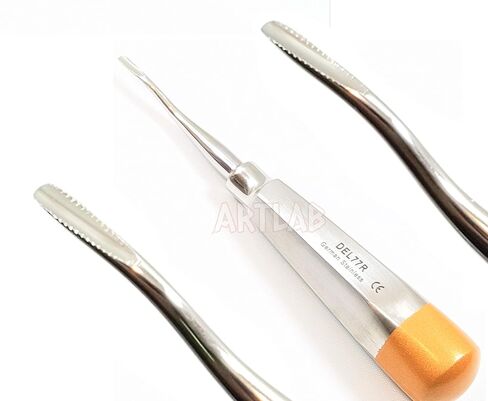 3 EA German Premium Root Dental Tooth Extracting Elevator # 77R-Dental Elevators-Dental Instruments in Saudi Arabia