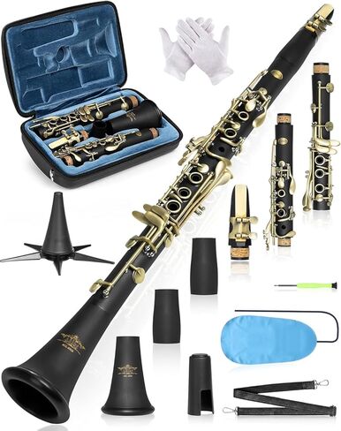 AKLOT B Flat Concert Clarinet: Precision Tone Hole Design for Stable Intonation, Durable Ancient Bronze-Style Keys, Including Leather Hard Case, Barrel, Stand, Full Cleaning Kit (Aria-ABV) in Kuwait