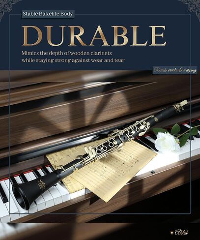 AKLOT B Flat Concert Clarinet: Precision Tone Hole Design for Stable Intonation, Durable Ancient Bronze-Style Keys, Including Leather Hard Case, Barrel, Stand, Full Cleaning Kit (Aria-ABV) in Kuwait