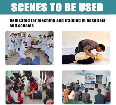 CPR Manikin Kit, CPR Adult First Aid Training Dummy, with Accessories and Carryall, for Educational Teaching Research in Kuwait