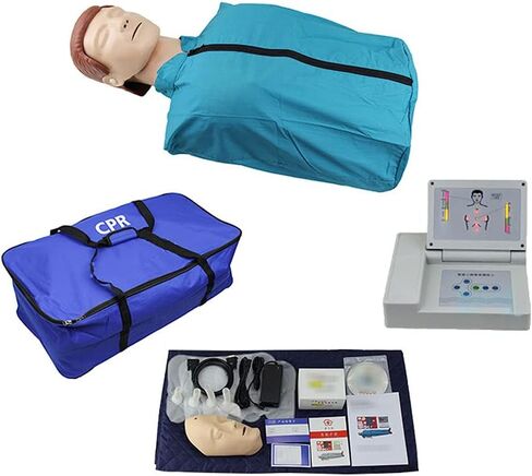 مدرب الإنعاش القلبي الرئوي، نموذج تعليم تعليم الحجم الطبيعي للقلب والرئة، لون بشرة متوسط، لتدريب مهارات التمريض لدى الأطباء in Kuwait