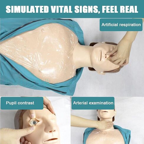 مدرب الإنعاش القلبي الرئوي، نموذج تعليم تعليم الحجم الطبيعي للقلب والرئة، لون بشرة متوسط، لتدريب مهارات التمريض لدى الأطباء in Kuwait