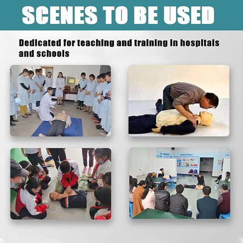 مدرب الإنعاش القلبي الرئوي، نموذج تعليم تعليم الحجم الطبيعي للقلب والرئة، لون بشرة متوسط، لتدريب مهارات التمريض لدى الأطباء in Kuwait