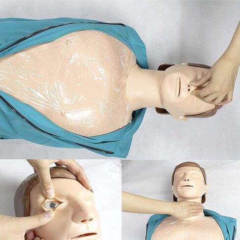 دمية تدريب على الإنعاش القلبي الرئوي لنصف الجسم بالكامل والإسعافات الأولية للتدريب على الإسعافات الأولية للمدرسة التعليمية بالمستشفى، الجسم بالكامل ()، نصف الجسم in Kuwait