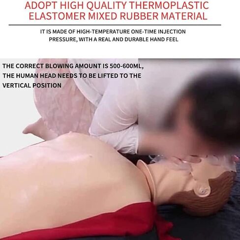 قزم تدريب الإنعاش القلبي الرئوي لكامل الجسم، محاكي الإنعاش القلبي الرئوي، نموذج طبي للتدريب على الإسعافات الأولية لتعليم المرضى وتعليمهم in Kuwait