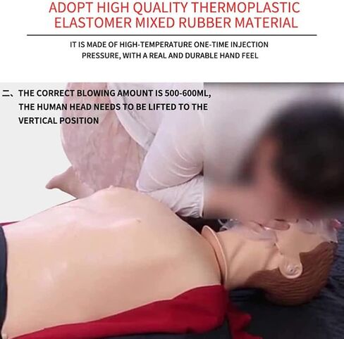 قزم التدريب - الكبار المحترفين - قزم الإنعاش - مجموعة قزم الجسم بالكامل لمستلزمات التدريب الطبي التعليمية in Kuwait